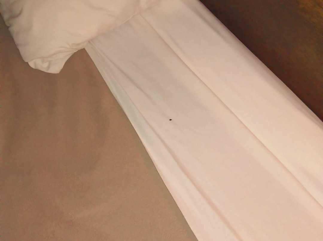 Trend Travel Stop主图