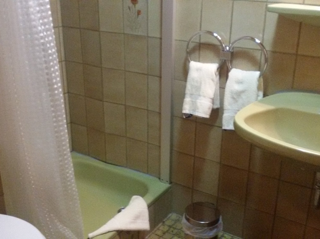 Hotel Moselkern主图
