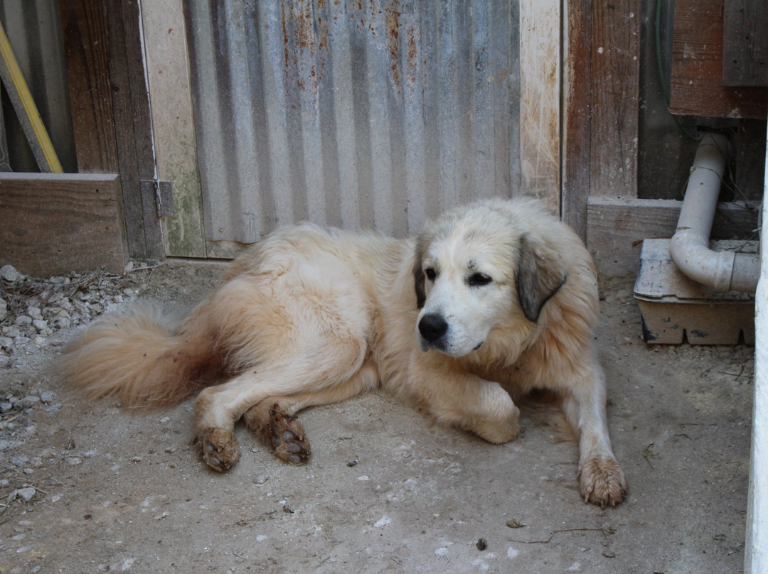 Caromont Farm-Esmont必去景点