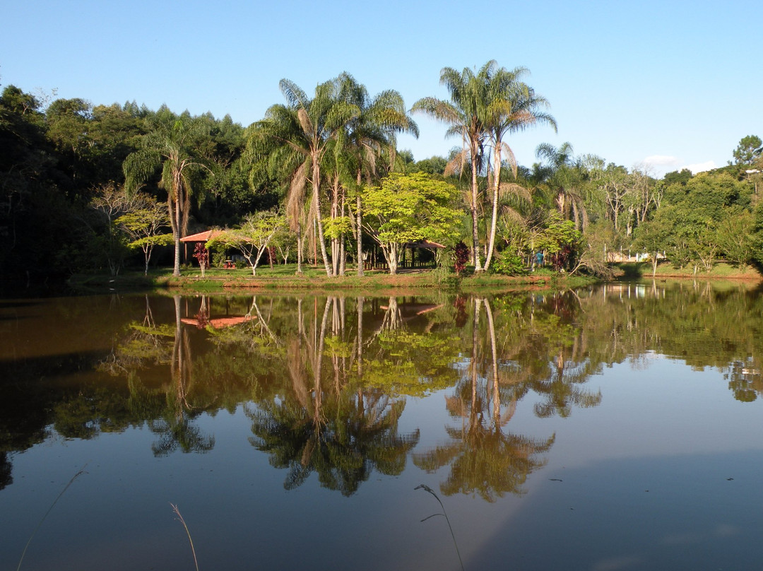 Parque Zoologico Municipal de Alfenas-Alfenas必去景点