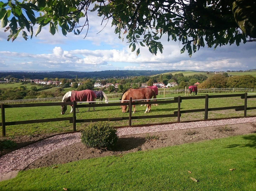 Tarden Farm Riding Stables景点图片