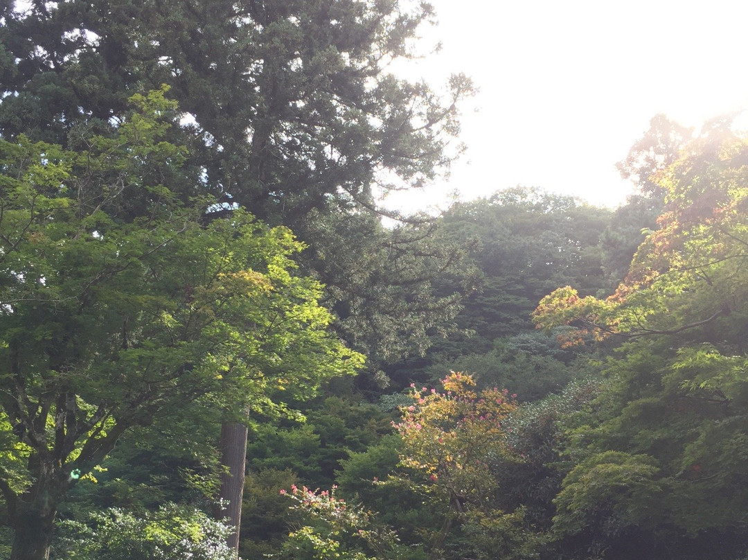 Murasugi Onsen-阿贺野市必去景点
