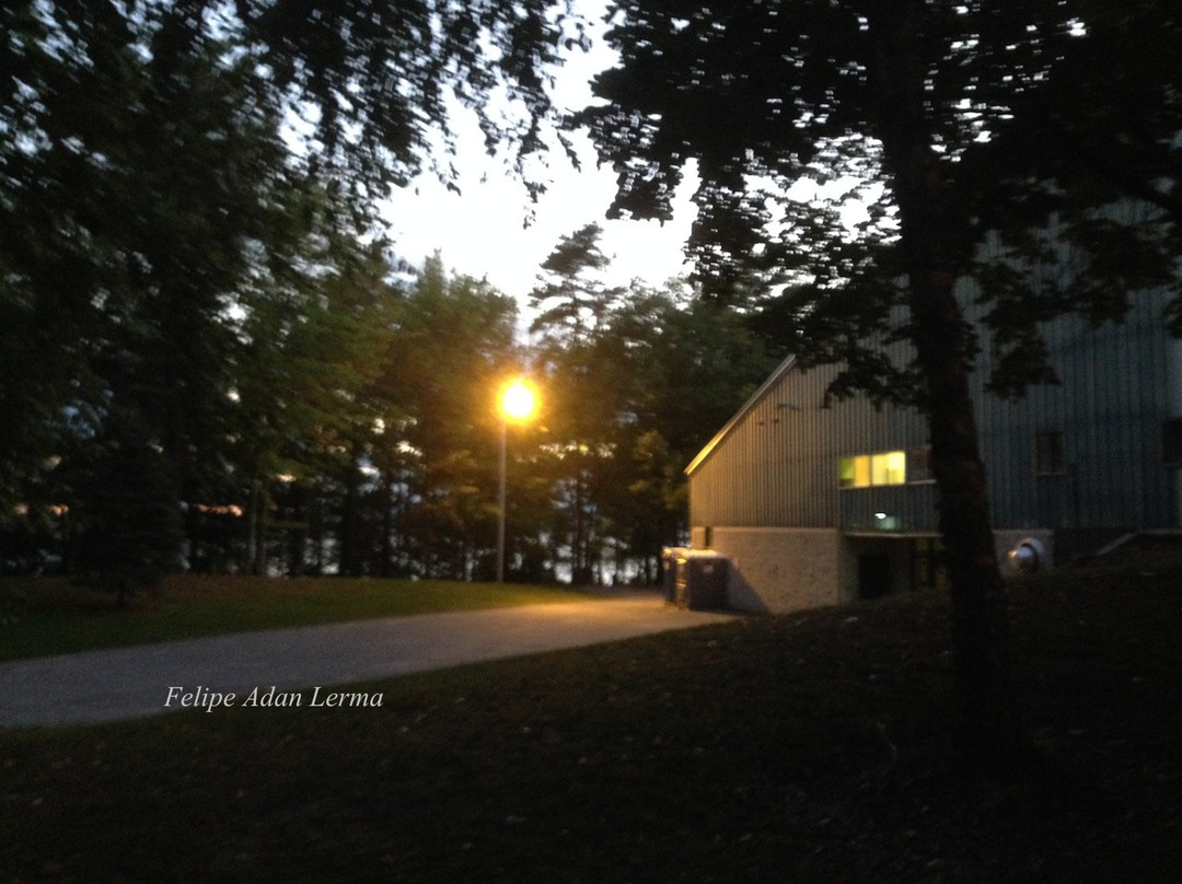 Leddy Park-伯灵顿必去景点