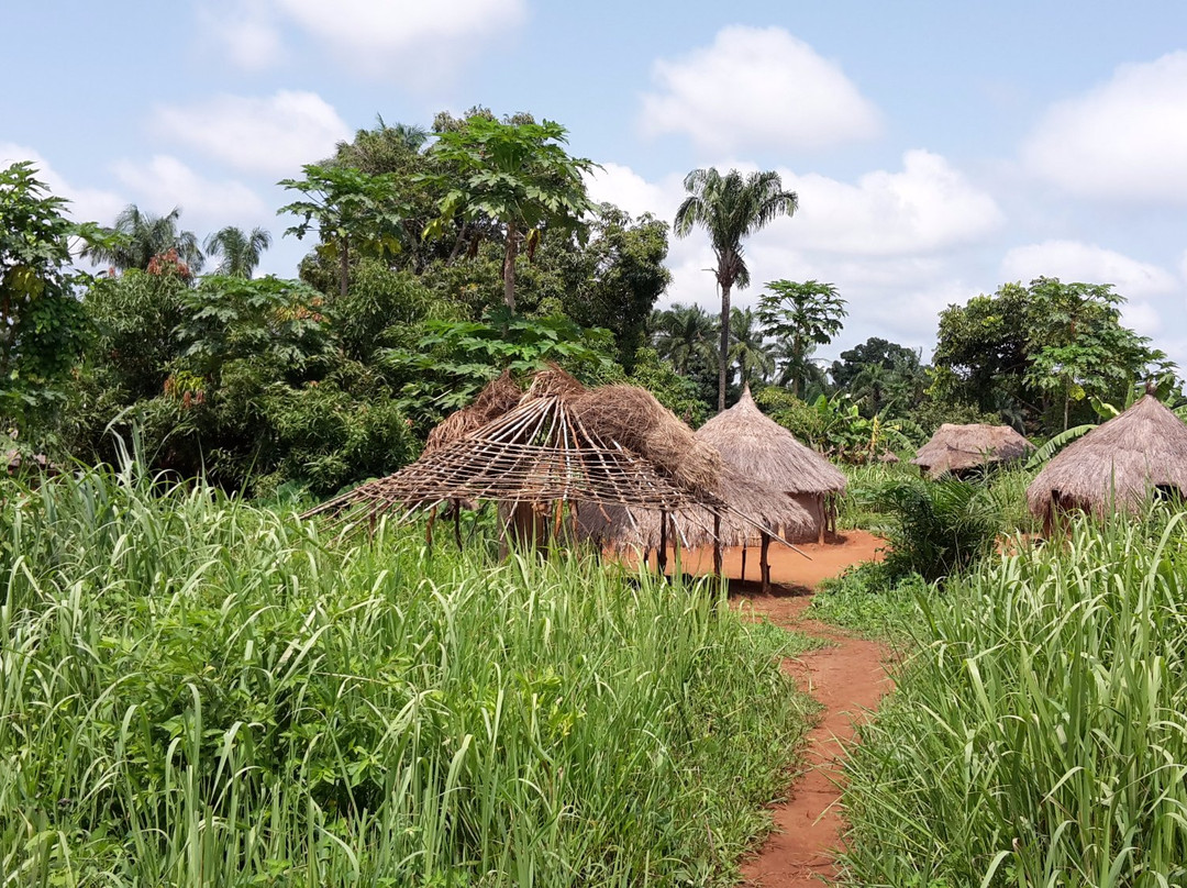 Haut-Mbomou Prefecture旅游攻略图片