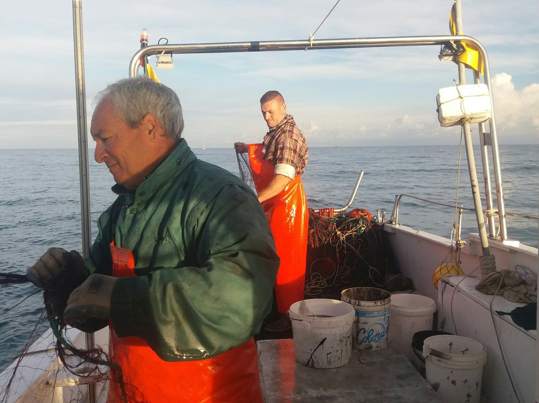Pescaturismo Vieste-维耶斯泰必去景点