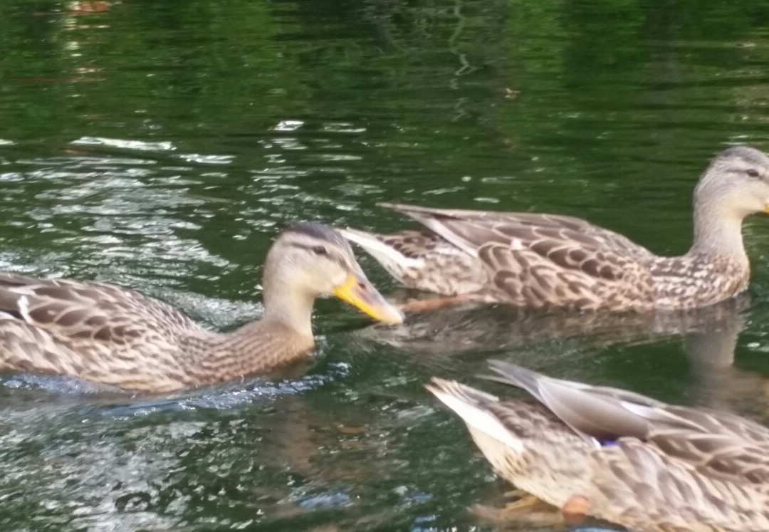 Ashland State Park-Ashland必去景点
