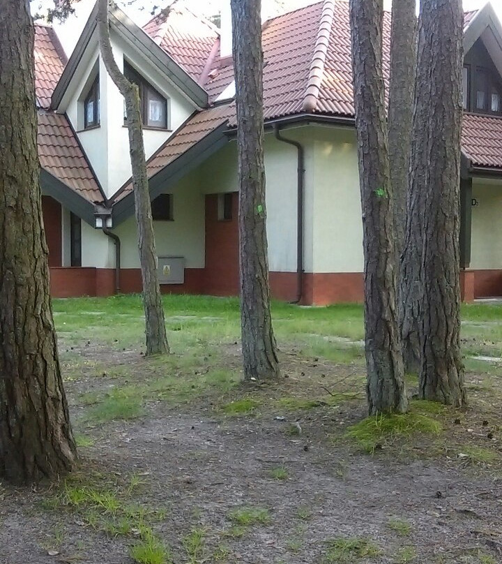 Energetyk