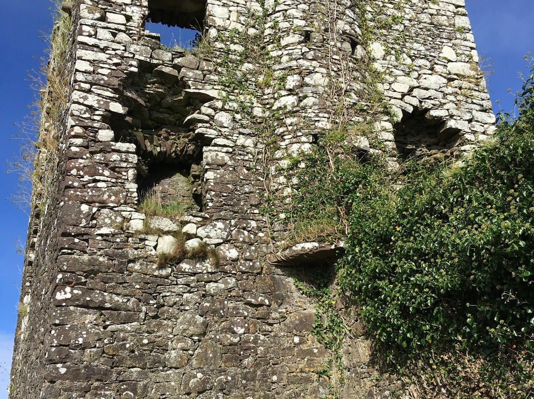 Moygara Castle-斯莱戈必去景点