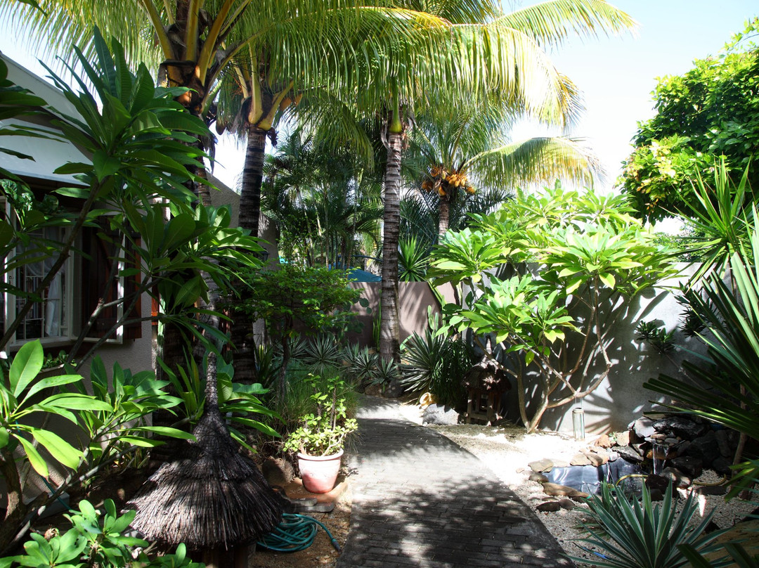 B&B Paradise Nest主图