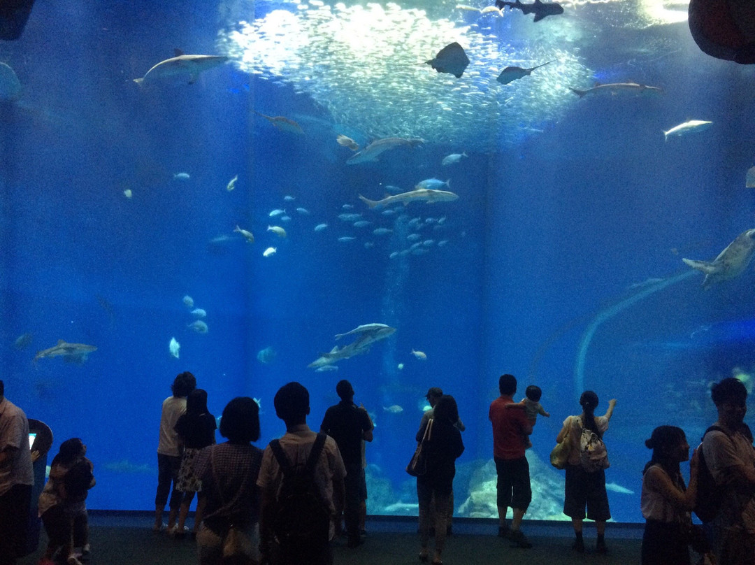Aqua World Ibaraki Prefectural Oarai Aquarium景点图片