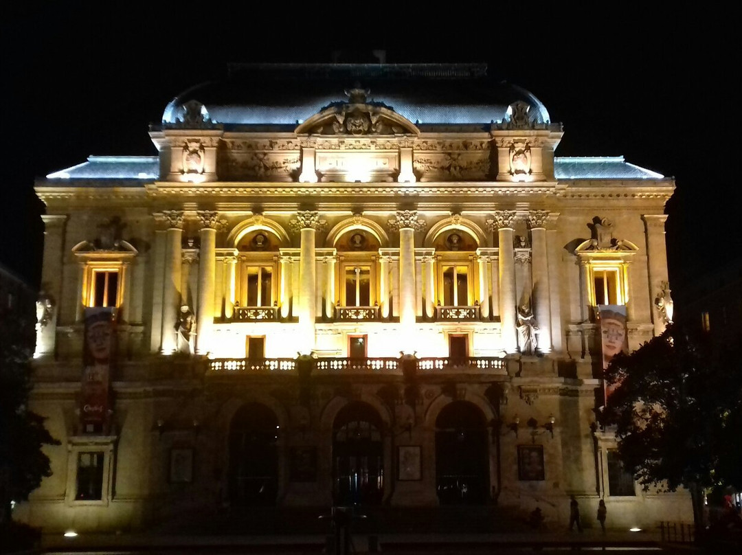 Place des Celestins-里昂必去景点