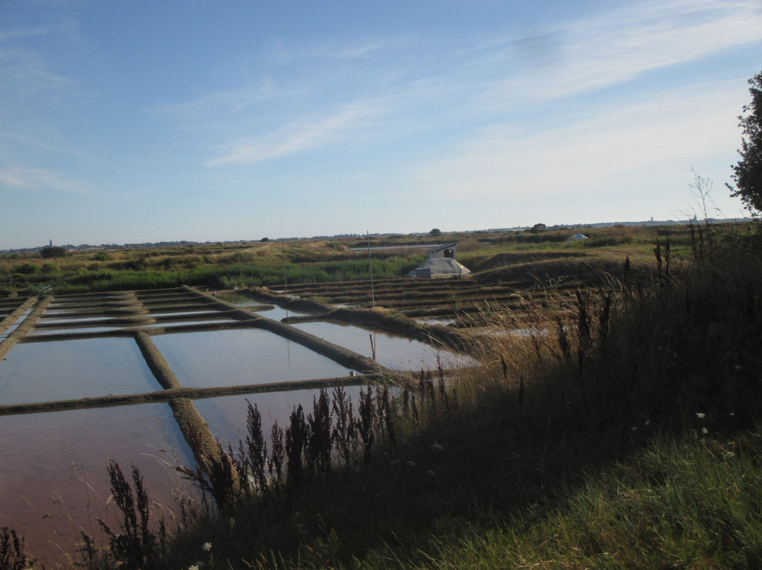 Balade en Caleche Dans Les Marais Salants de Guerande景点图片