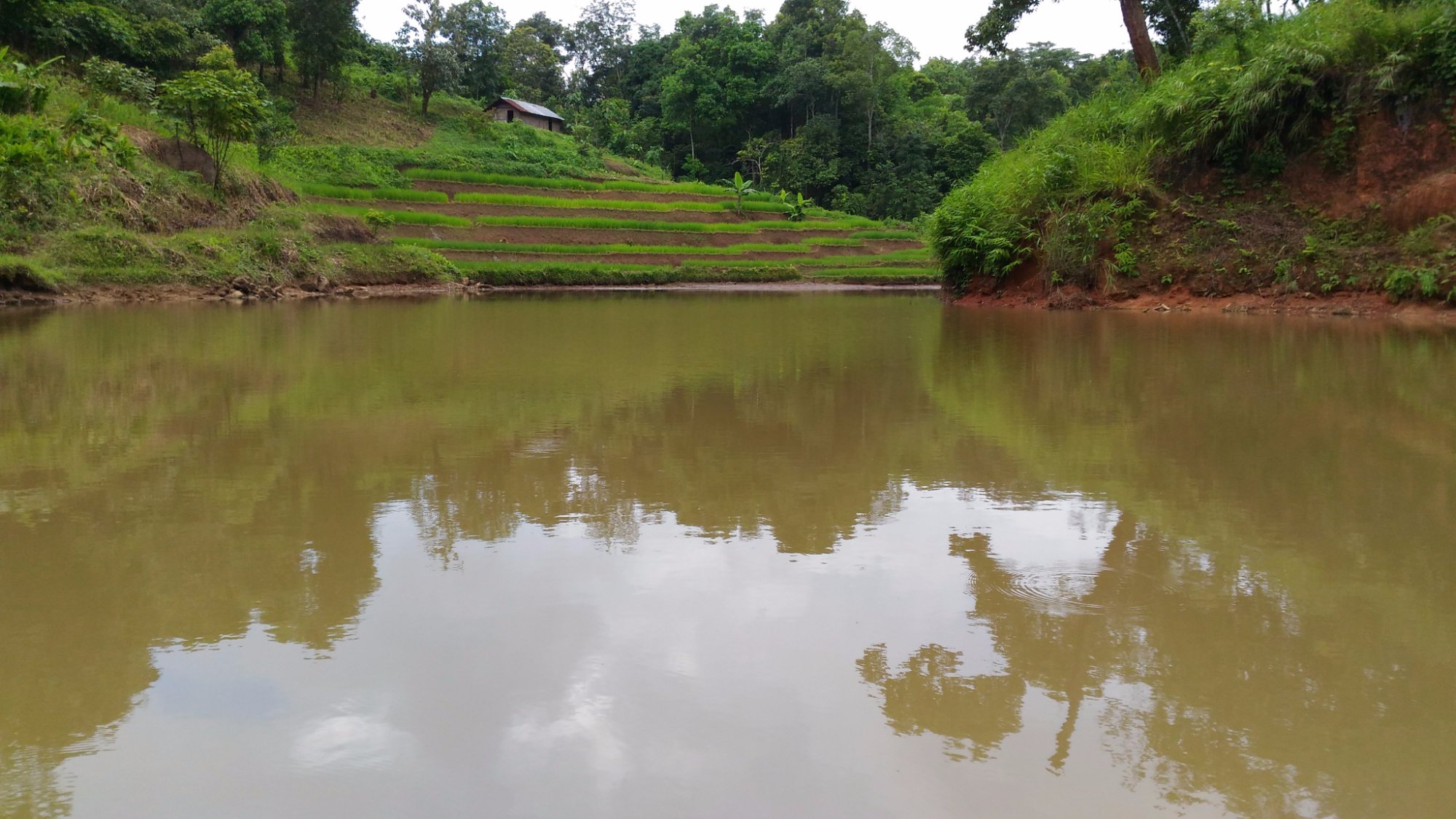 Umden Traveller’s Nest-酒店景观