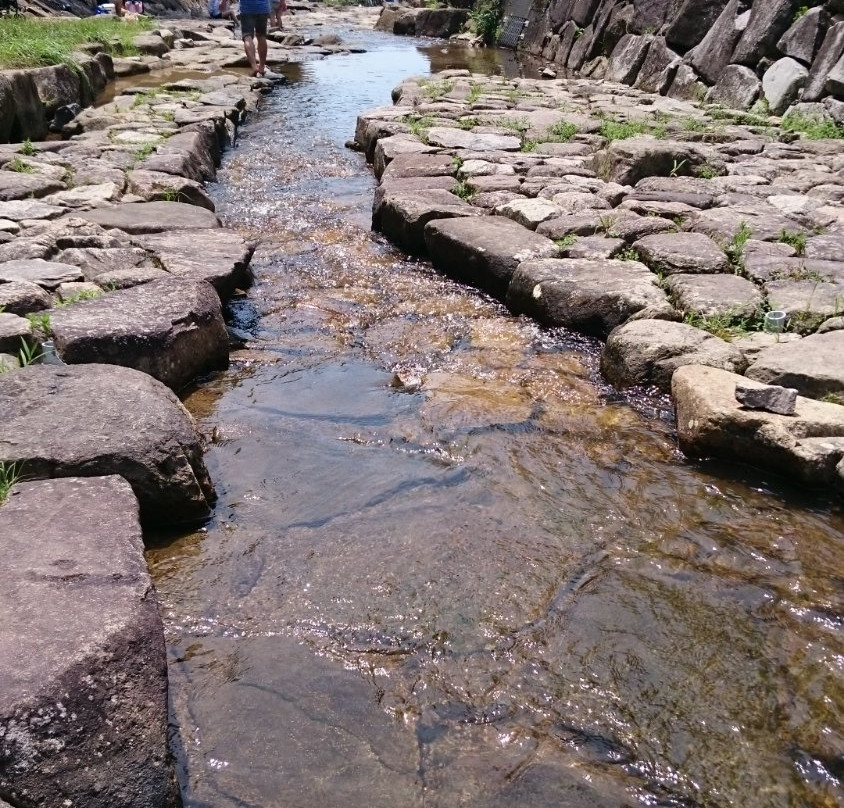 Mikumarikyo Forest Park-府中町必去景点