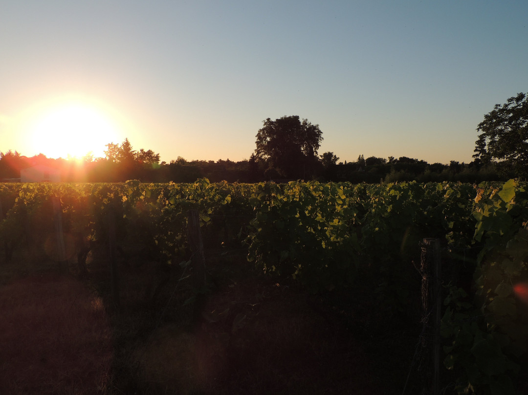 Domaine De La Gauche景点图片