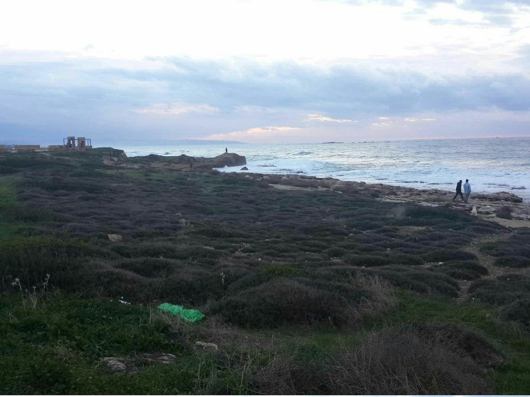 Sokolov Beach-Nahariya必去景点