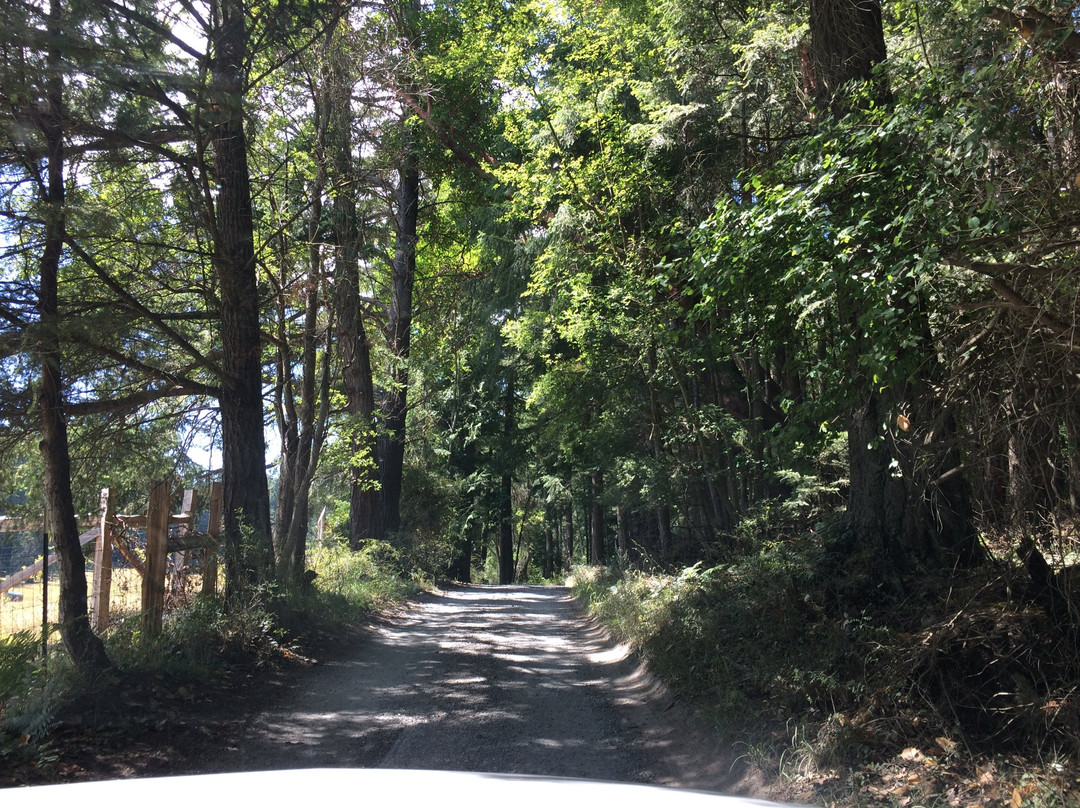 Orcas Island Pottery景点图片