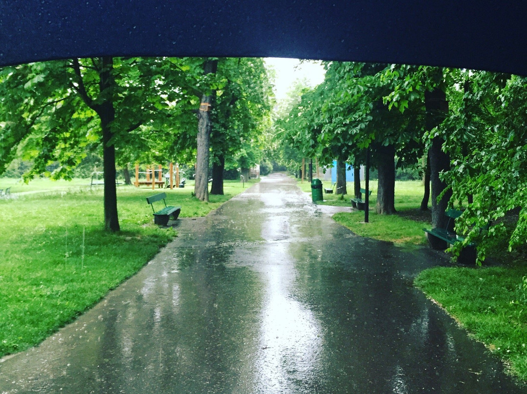 Parc Bertrand-日内瓦必去景点