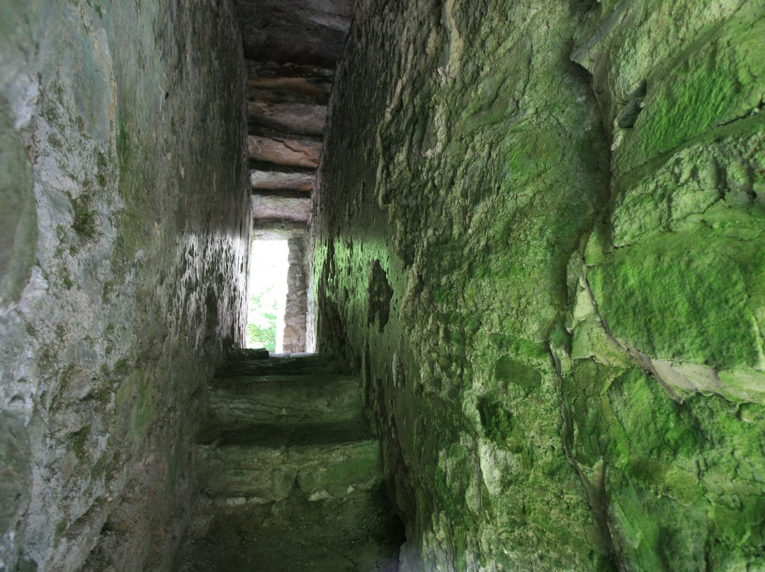 Carey's Castle-Clonmel必去景点