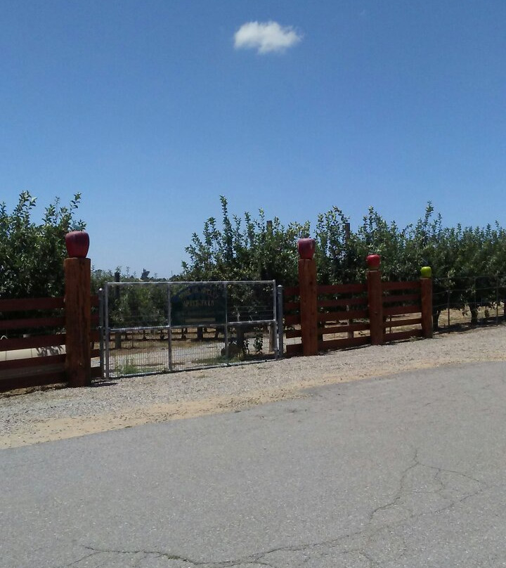 Volcan Mountain Winery景点图片