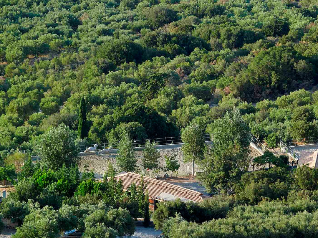 Avdou旅游攻略图片