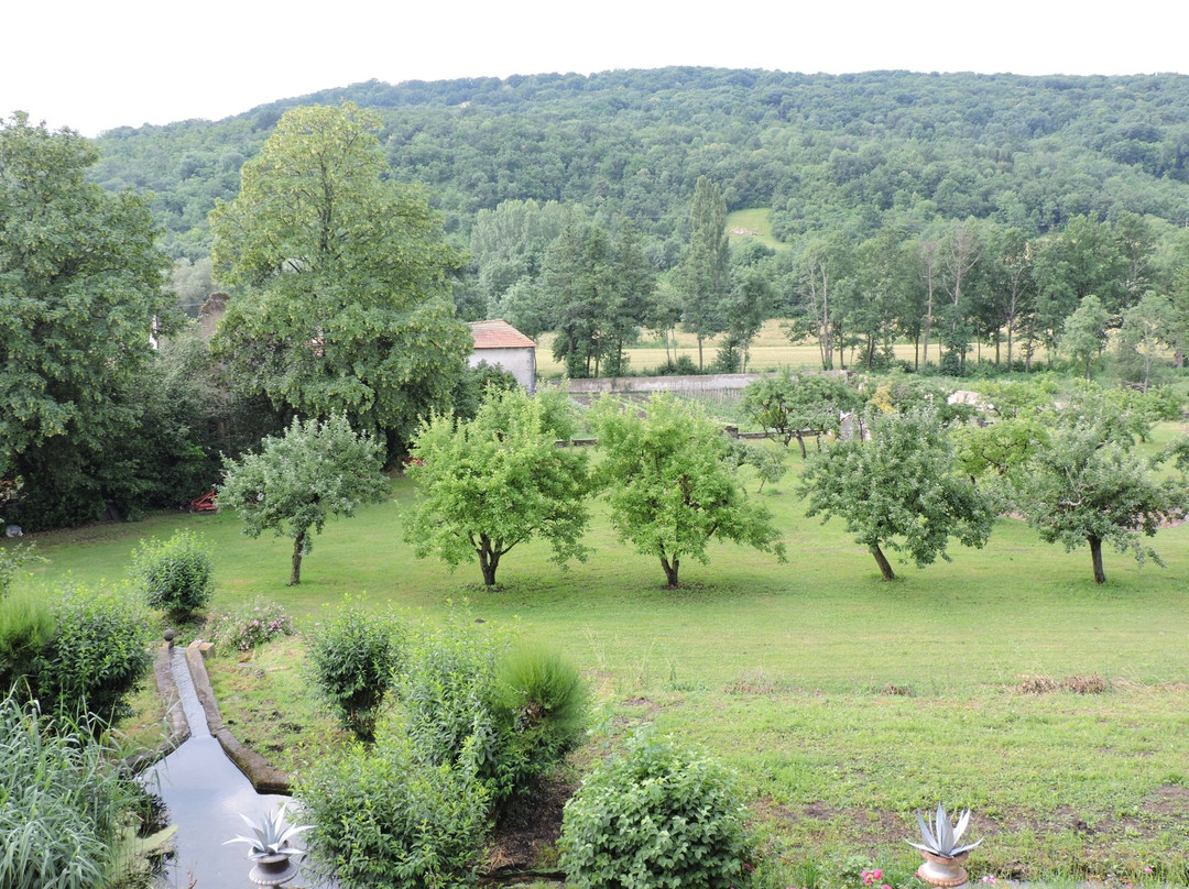 Volvic酒店住宿-Manoir d'Aubeterre