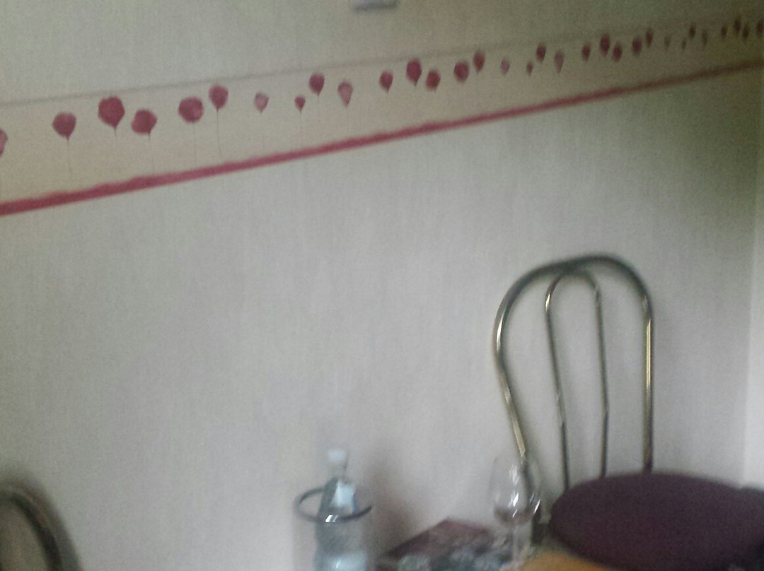 Hotel Zum Schleicher Kuckuck主图