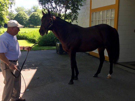 Lexington Private Tours-列克星敦必去景点