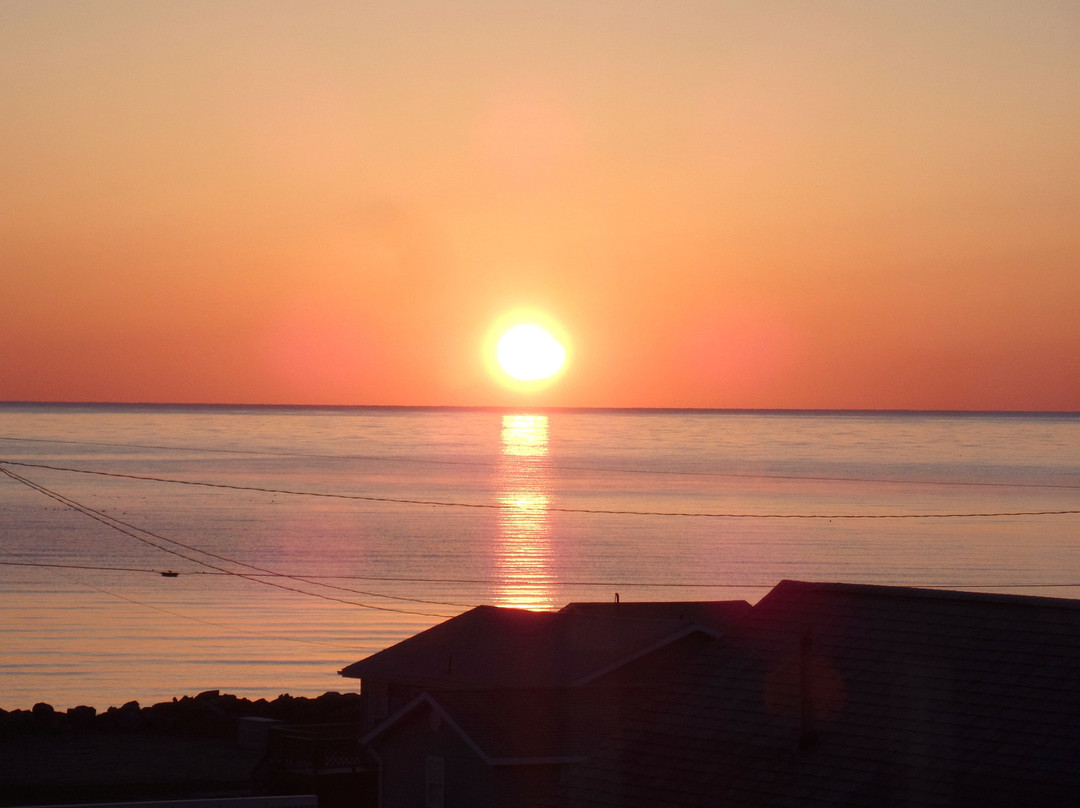 D's B & B by the sea主图