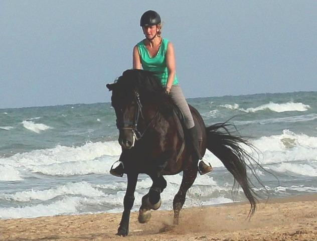 Riding stable El Refugio景点图片