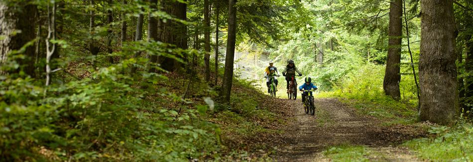 Bike Resort Sinaia-锡纳亚必去景点