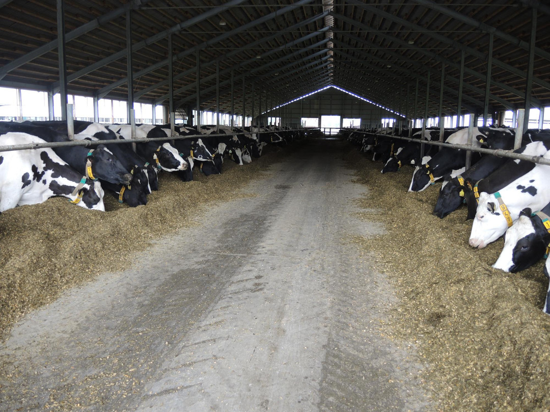 Academy of Dairy Science景点图片