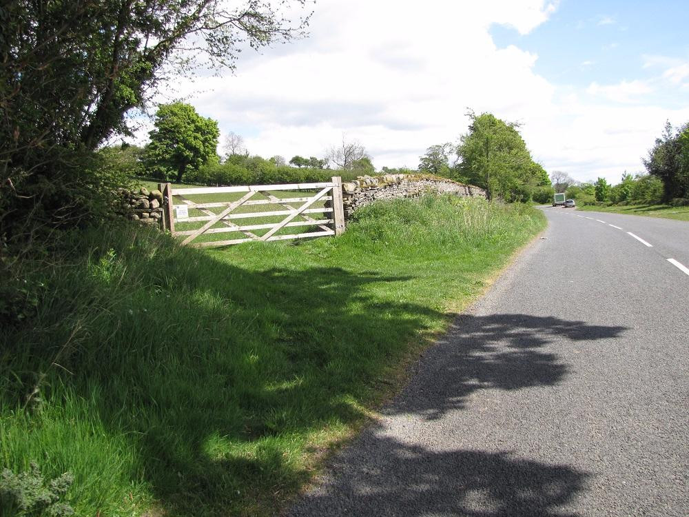 Leyburn Old Glebe Nature Reserve景点图片