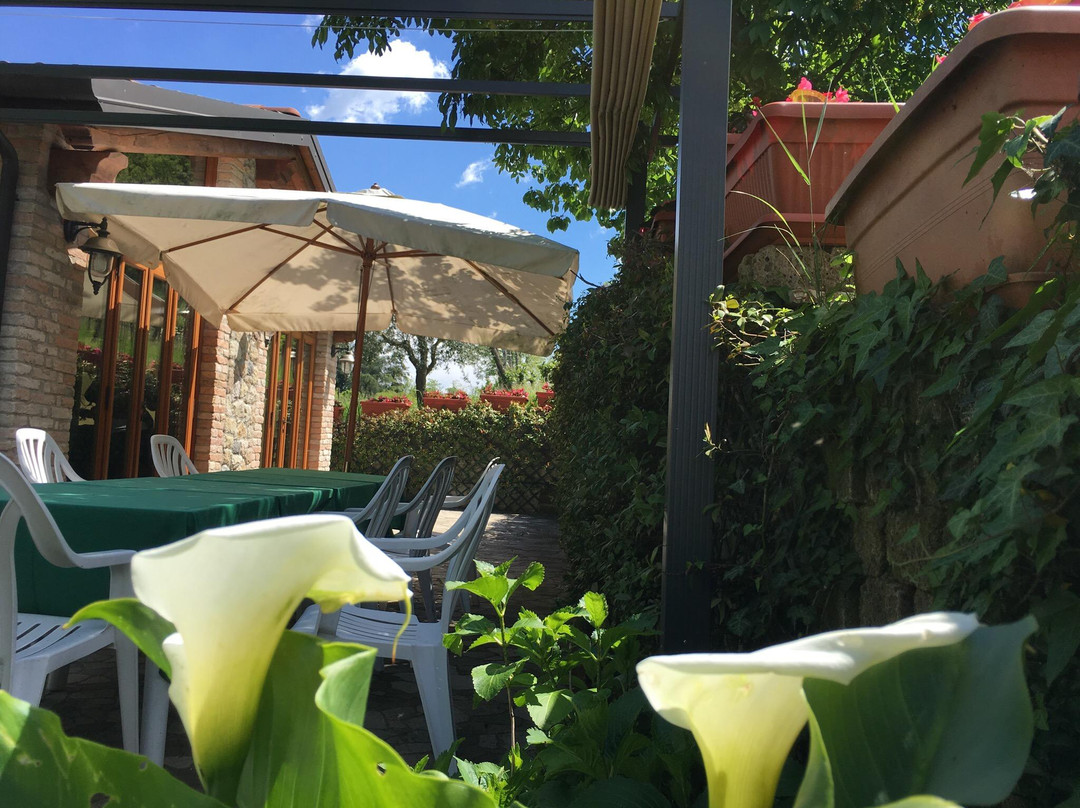 Agriturismo Il Coppo