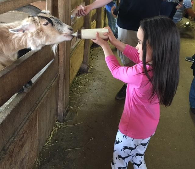 Action Wildlife Foundation-Goshen必去景点