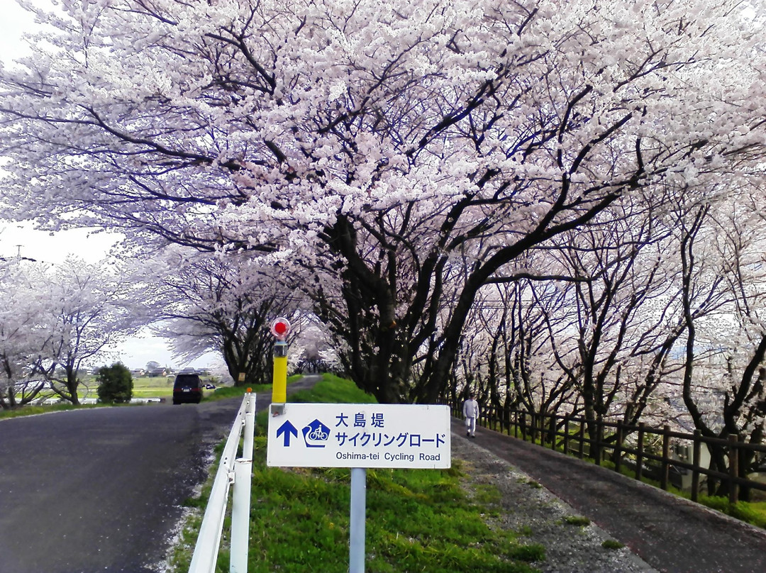 Oshimazutsumi Cycling Road