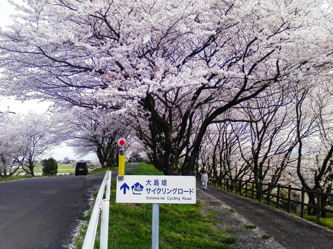 Oshimazutsumi Cycling Road景点图片
