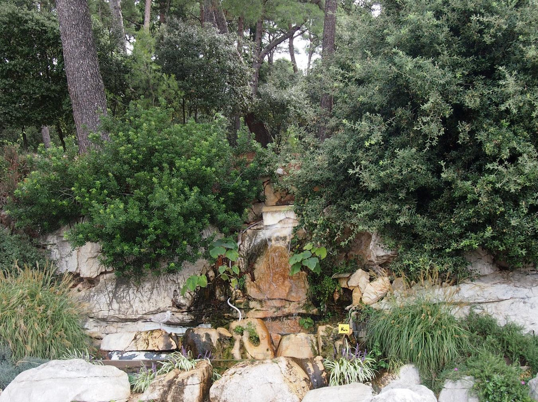 Monte Mulini
