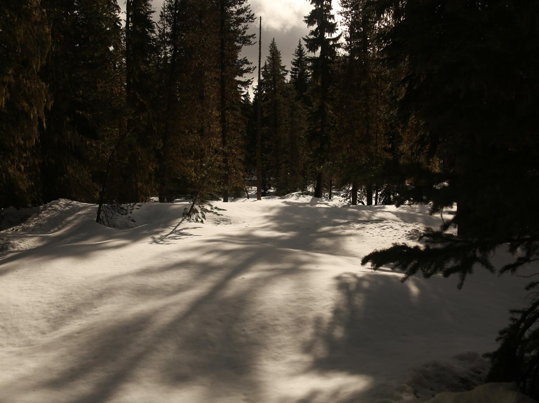 Willamette Pass Resort-Crescent必去景点