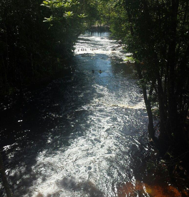 Cachoeira dos Passaros景点图片