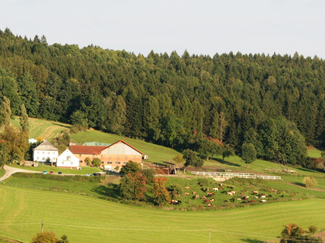 Ferienhaus Ampflwang