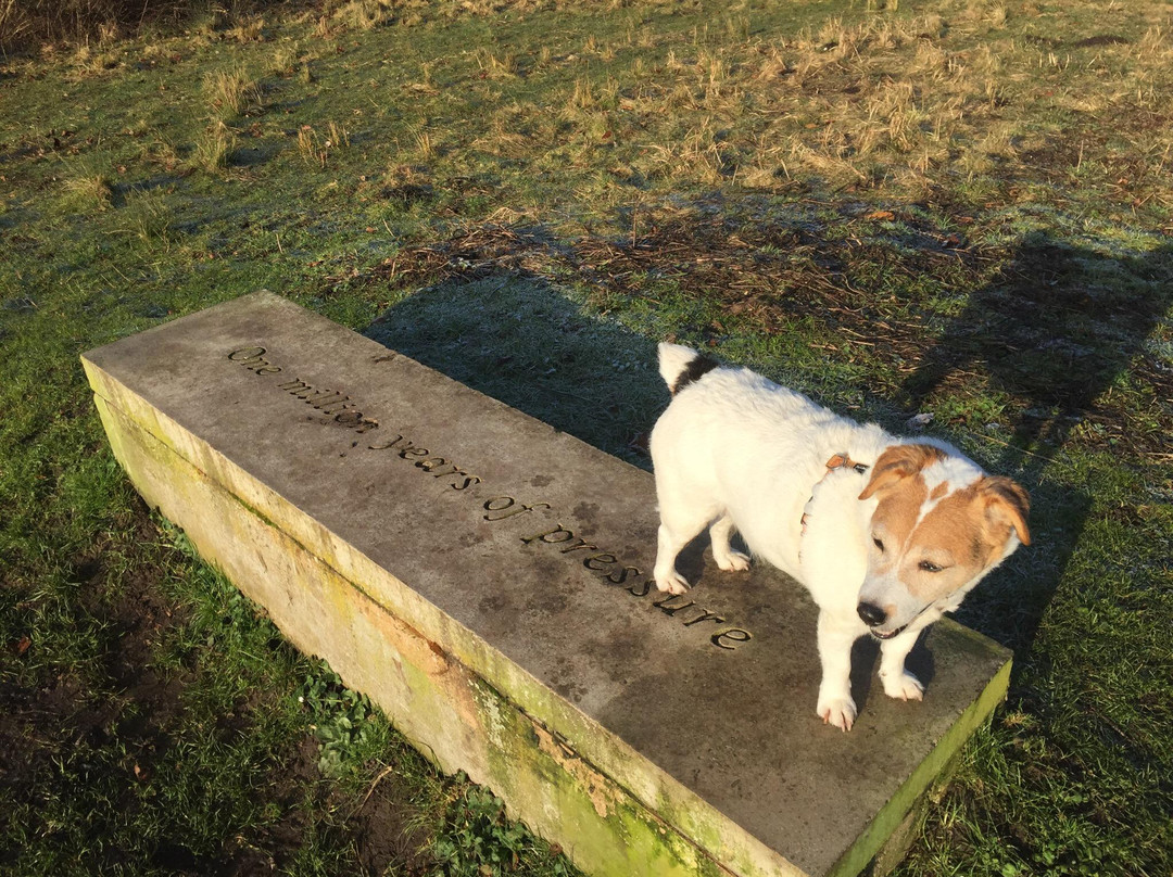 Bestwood Country Park-诺丁汉必去景点