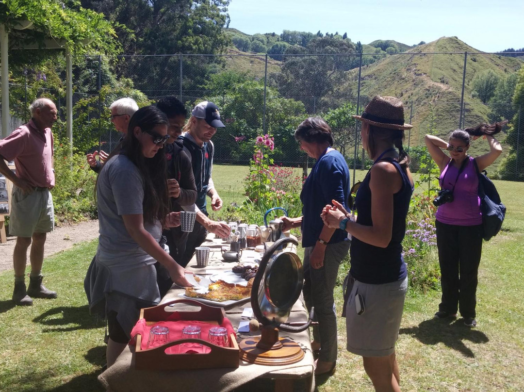 Station Life In Rural New Zealand-吉斯本必去景点