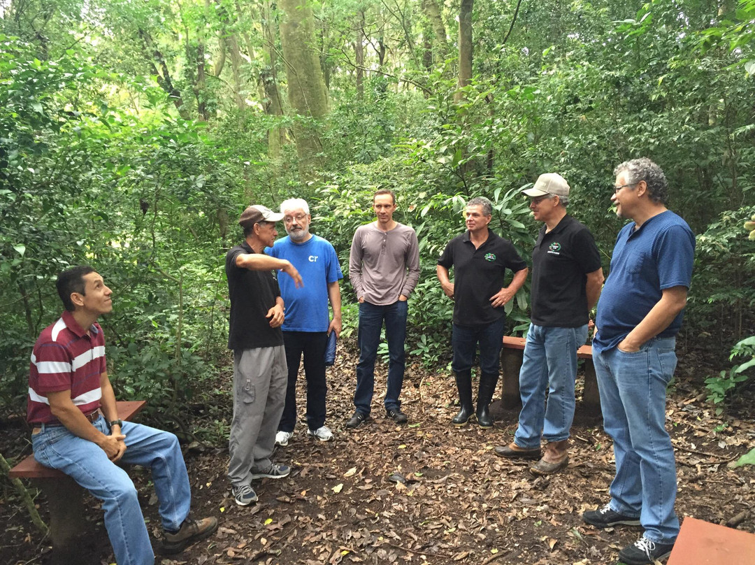 Life Monteverde-Los Tornos必去景点