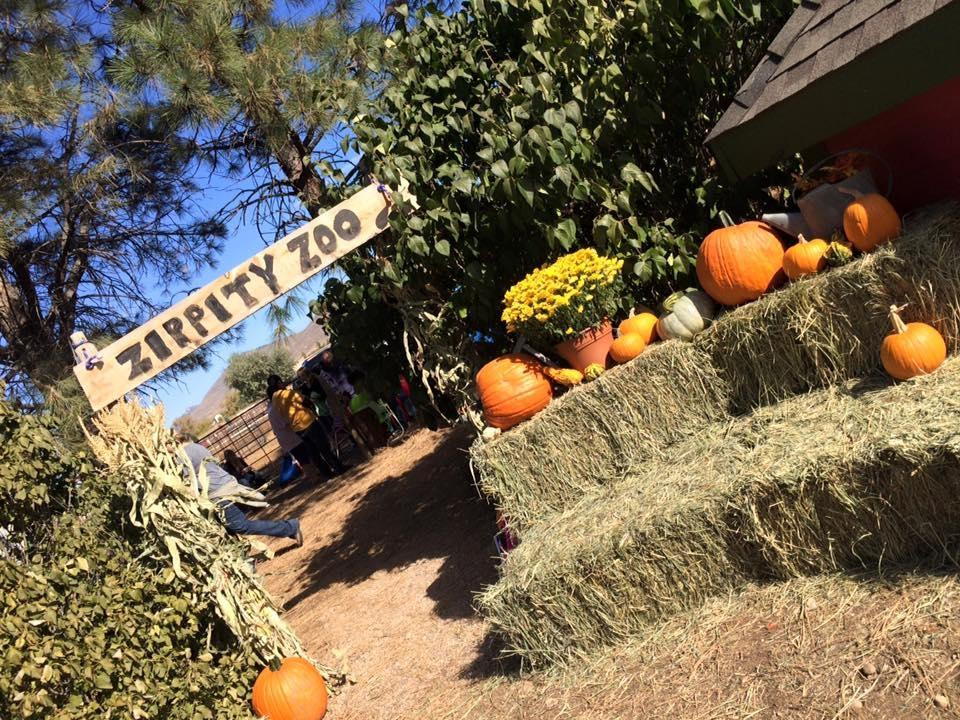 Zippity Boo Pumpkins-拉夫兰必去景点