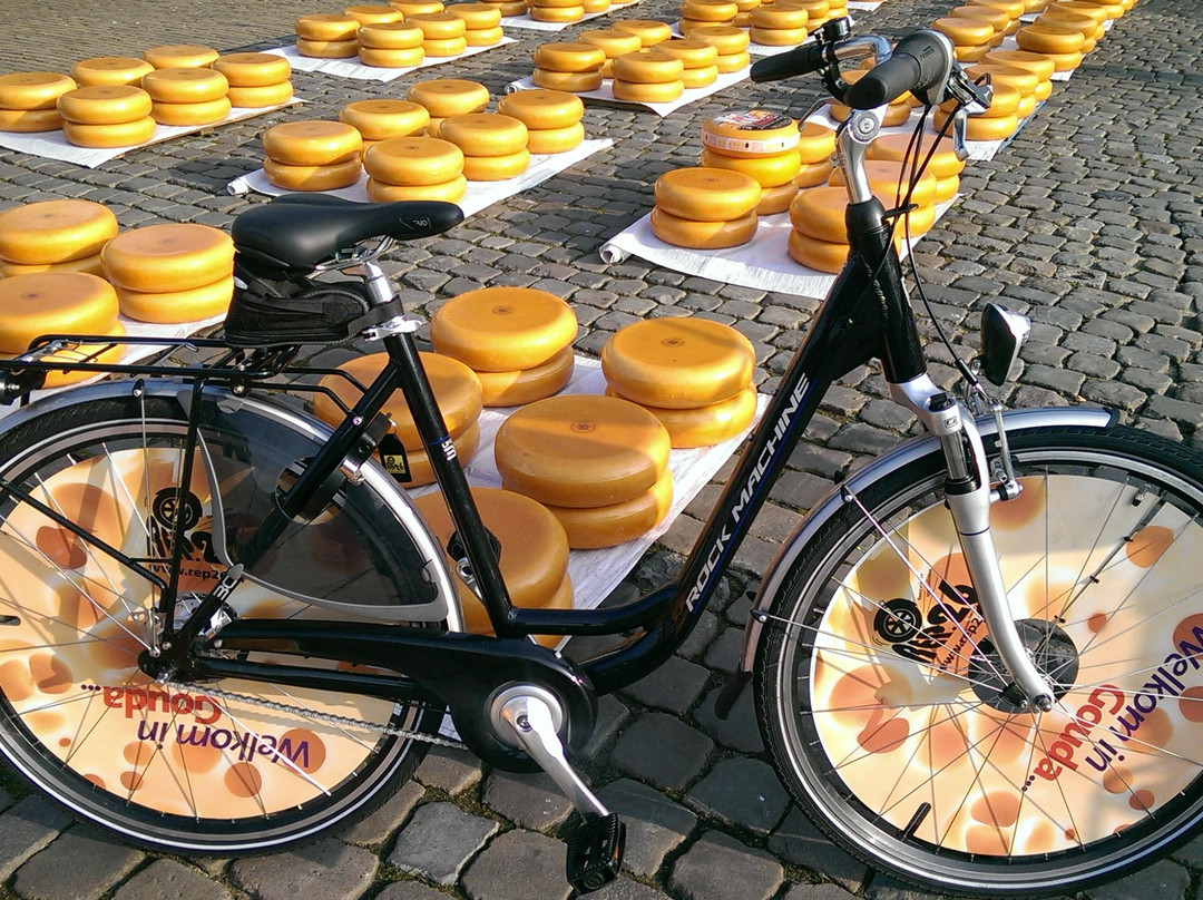 Bike & Scooter Rental Gouda-高德必去景点