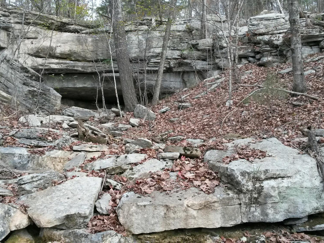 Wade Mountain Nature Preserve-亨茨维尔必去景点