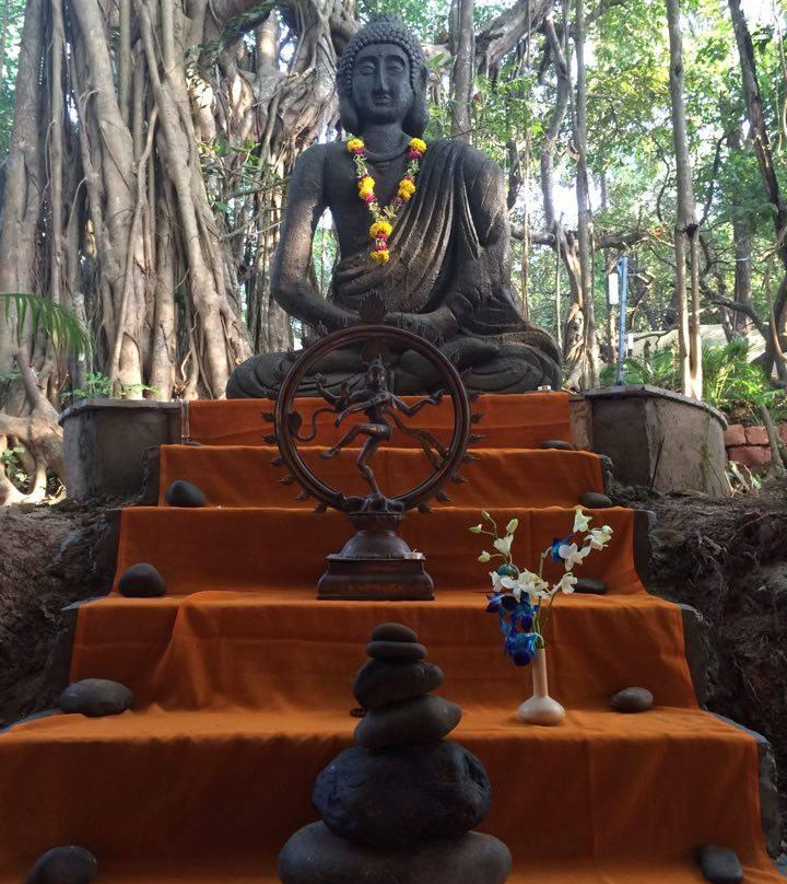 Yoga Land Shala-格纳戈纳必去景点