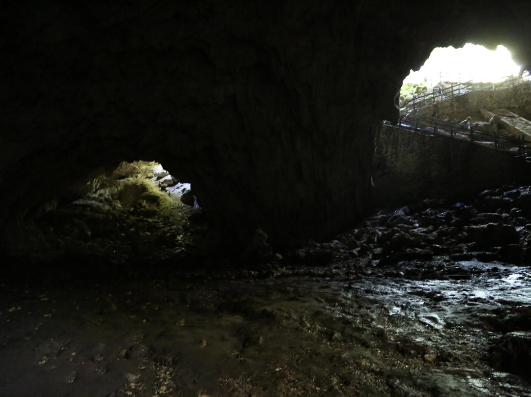 Binsari Cave-Biak必去景点