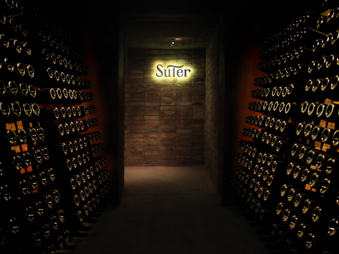 Bodega Suter-圣拉斐尔必去景点